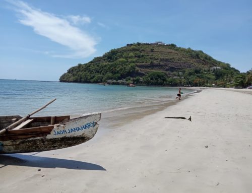 Madagascar, Paradiso di Biodiversità